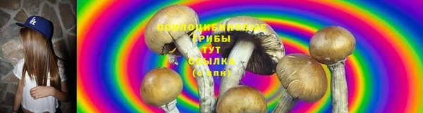 молекула духа Баксан