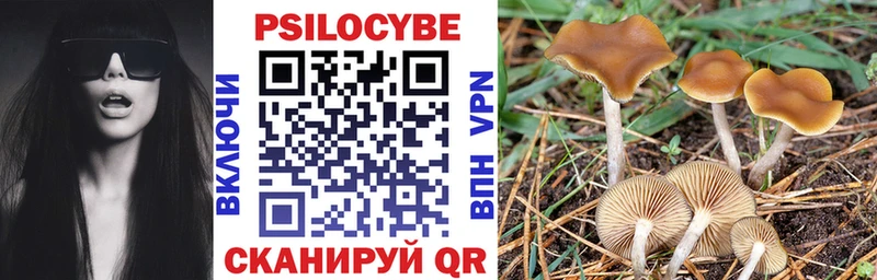 что такое   Гаврилов-Ям  Галлюциногенные грибы Psilocybe 